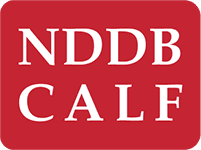 NDDB CALF Lab